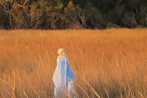 a person standing on a dry grass field